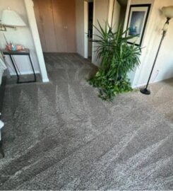 Silverio Carpet Cleaning