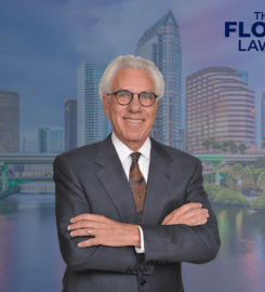 The Florida Law Group