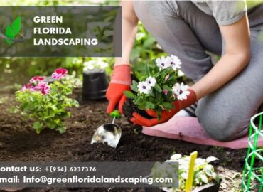 Green Florida Landscaping