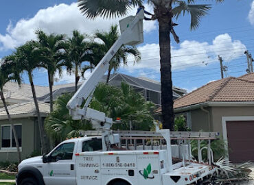 Green Florida Landscaping