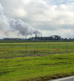 Sugar Cane Growers Cooperative of Florida